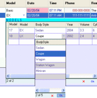 .NET DataGridView Columns screenshot